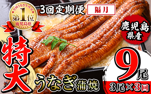 i1174-B ＜定期便・計3回(隔月)＞＼特大サイズ／鹿児島県産 うなぎ蒲焼 3尾セット＜（約220g×3・計約660g）×全3回＞ 定期便 たれ 山椒付きうなぎ 鰻 ウナギ 特大 特大サイズ 約220g 蒲焼き 国産 鹿児島県産 焼きたて 生産量日本一 真空パック おかず 晩御飯 特別な日 土用の丑の日 【薩摩川内鰻】