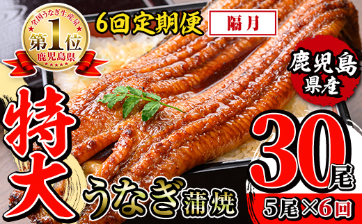 i1177-B ＜定期便・計6回(隔月)＞＼特大サイズ／鹿児島県産 うなぎ蒲焼 5尾セット ＜（約220g×5・計約1100g）×全6回＞ 定期便 たれ 山椒付きうなぎ 鰻 ウナギ 特大 特大サイズ 約220g 蒲焼き 国産 鹿児島県産 焼きたて 生産量日本一 真空パック おかず 晩御飯 特別な日 土用の丑の日 【薩摩川内鰻】