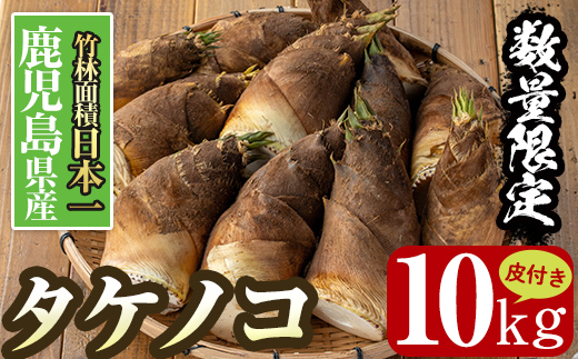 i365 ≪数量限定！先行予約受付中！2026年4月上旬～4月中旬の間に発送予定≫鹿児島県出水市産！タケノコ＜皮付き10kg＞ たけのこ 筍 タケノコ 国産 皮付き 野菜 旬 新鮮 採りたて 煮物 味噌汁 炊き込みご飯 【シンタク】