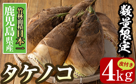 i366 ≪数量限定！先行予約受付中！2026年4月上旬～4月中旬の間に発送予定≫鹿児島県出水市産！タケノコ＜皮付き4kg＞ たけのこ 筍 タケノコ 国産 皮付き 野菜 旬 新鮮 採りたて 煮物 味噌汁 炊き込みご飯 【シンタク】