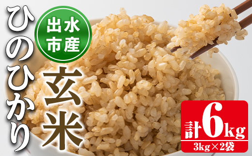 i504 鹿児島県出水市産ひのひかり玄米＜3kg×2袋・計6kg＞ 米 玄米 お米 6kg 国産 ひのひかり おにぎり ごはん 自家脱穀 お米マイスター 厳選  【田上商店】