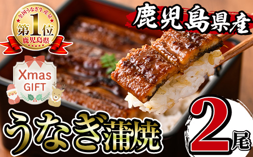 i505-Xm 【クリスマスギフト】鹿児島県産うなぎ蒲焼 (2尾) 1尾約140g うなぎ 鰻 ウナギ 蒲焼き 国産 鹿児島県産 焼きたて 生産量日本一 真空パック おかず 晩御飯 贈答 ギフト プレゼント クリスマス 【薩摩川内鰻】