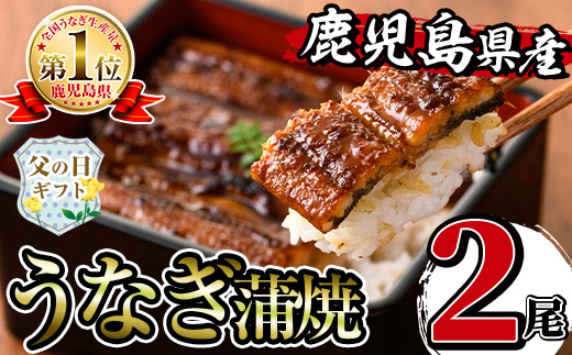 i505-f 【父の日ギフト】鹿児島県産うなぎ蒲焼2尾セット(約140g×2・計約280g) うなぎ 鰻 ウナギ 2尾 蒲焼き 国産 鹿児島県産 焼きたて 生産量日本一 真空パック おかず 晩御飯 特別な日 贈答 ギフト プレゼント 父の日 【薩摩川内鰻】