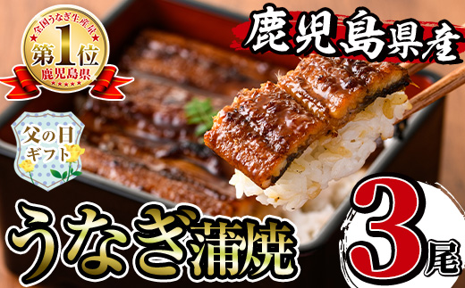 i506-f 【父の日ギフト】鹿児島県産うなぎ蒲焼3尾セット(約140g×3・計約420g) うなぎ 鰻 ウナギ 3尾 蒲焼き 国産 鹿児島県産 焼きたて 生産量日本一 真空パック おかず 晩御飯 特別な日 贈答 ギフト プレゼント 父の日 【薩摩川内鰻】