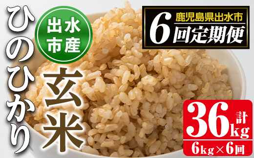 i542 ＜定期便・計6回(連続)＞鹿児島県出水市産ひのひかり玄米＜(3kg×2袋・計6kg)×全6回＞ 米 玄米 お米 6kg 計36kg 定期便 国産 ヒノヒカリ おにぎり 自家脱穀 ごはん お米マイスター 厳選 【田上商店】