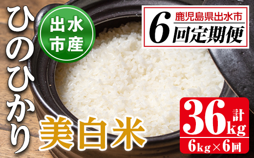 i543 ＜定期便・計6回(連続)＞鹿児島県出水市産ひのひかり美白米＜(3kg×2袋・計6kg)×全6回＞ 米 6kg 計36kg お米 白米 ヒノヒカリ 美白米 定期便 自家脱穀 自家精米 精米 おにぎり ごはん お米マイスター 厳選 【田上商店】