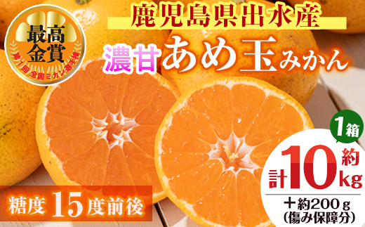 i572 ＜先行予約受付中！2025年11月中旬～2026年1月下旬の間に発送予定＞【特別栽培・最高金賞】温州みかん日本一！濃甘あめ玉みかん(約10kg・1箱＋傷み保障 約200g(3～4玉) みかん 蜜柑 ミカン 柑橘 果物 フルーツ 果実 国産 鹿児島【Farmer friends Marche】