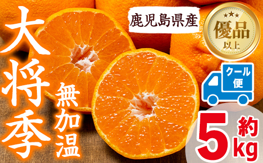 i636 ≪先行予約受付中！2026年1月中旬以降順次発送予定≫【冷蔵便】大将季＜無加温＞ (約5kg) 国産 みかん 柑橘 種果物 くだもの フルーツ 旬 糖度抜群 【JA鹿児島いずみ(果実課)】
