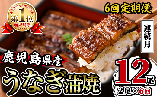 i938-A ＜定期便・計6回(連続月)＞鹿児島県産うなぎ蒲焼2尾セット＜(約140g×2・計約280g)×全6回＞ 定期便 うなぎ 鰻 ウナギ 2尾 蒲焼き 国産 鹿児島県産 焼きたて 生産量日本一 真空パック おかず 晩御飯 特別な日 土用の丑の日 【薩摩川内鰻】