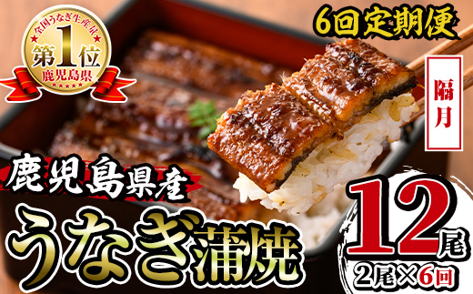 i938-B ＜定期便・計6回(隔月)＞鹿児島県産うなぎ蒲焼2尾セット＜(約140g×2・計約280g)×全6回＞ 定期便 うなぎ 鰻 ウナギ 2尾 蒲焼き 国産 鹿児島県産 焼きたて 生産量日本一 真空パック おかず 晩御飯 特別な日 土用の丑の日 【薩摩川内鰻】