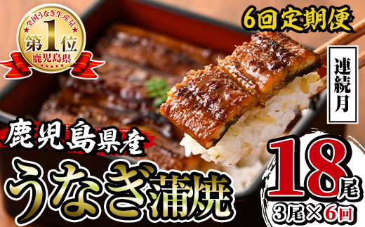 i939-A ＜定期便・計6回(連続月)＞鹿児島県産うなぎ蒲焼3尾セット＜(約140g×3・計約420g)×全6回＞ 定期便 うなぎ 鰻 ウナギ 3尾 蒲焼き 国産 鹿児島県産 焼きたて 生産量日本一 真空パック おかず 晩御飯 特別な日 土用の丑の日 【薩摩川内鰻】