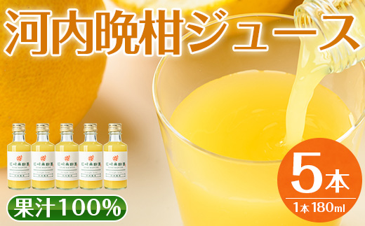 i990-A 河内晩柑ジュース(180ml×5本) 飲料 ジュース みかん 蜜柑 果汁 100% 河内晩柑 無着色 無香料 ストレートジュース 安心安全 ギフト 贈り物 贈答【江崎果樹園】