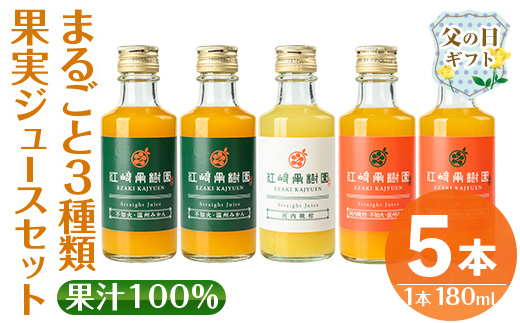 i990-D-f 【父の日ギフト】まるごと３種類果実ジュースセット(180ml×5本・全3種) 飲料 ジュース みかん 蜜柑 詰合せ 果汁 100% 河内晩柑 不知火 温州みかん 無着色 無香料 ストレートジュース 安心安全 父の日 プレゼント ギフト 贈答 【江崎果樹園】