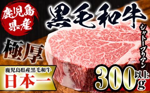 i216 鹿児島県産!黒毛和牛シャトーブリアン(300g以上)黒毛和牛肉4〜5等級品をお届け!国産牛肉だから安心安全!普段の食卓に贅沢を! 牛肉 肉 黒毛和牛 国産 フィレ肉 シャトーブリアン 希少 希少部位 絶品 安心安全 冷凍 [スーパーよしだ]