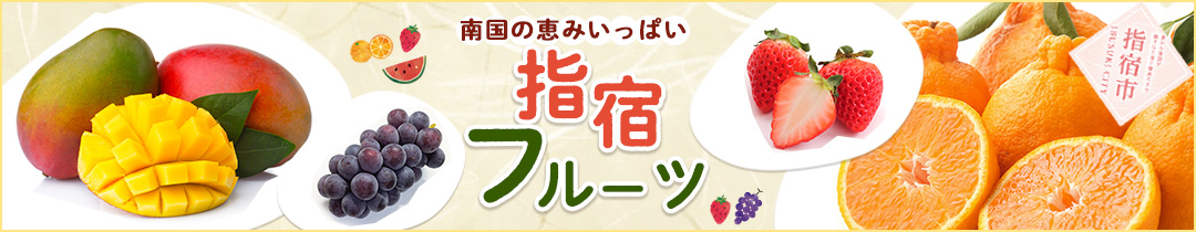 返礼品特集：フルーツ