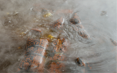 ＜指宿シーサイドホテル1泊2食付宿泊券＞※1名様分(指宿シーサイドホテル/060-1186)