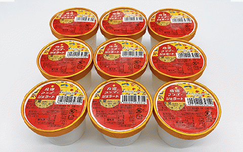 ＜高島屋選定品＞指宿マンゴージェラート9個セット(TK017-1835/59D1953)