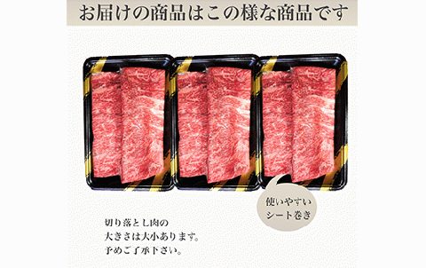 鹿児島県産黒毛和牛5等級切落し900g(水迫畜産/016-1292)