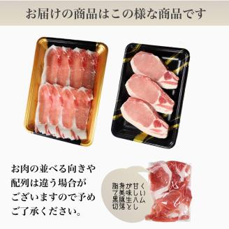 黒豚三昧!とんかつ用黒豚300g + 黒豚しゃぶしゃぶ300g + 黒豚生ハム1P(水迫畜産/010-495)鹿児島黒豚 黒豚 豚肉 豚 肉 黒豚ロース 黒豚バラ 黒豚モモ セット 国産 食べきり