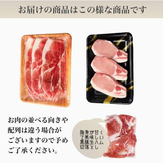 黒豚三昧!黒豚切落とし400g+黒豚とんかつ300g+黒豚生ハム1P(水迫畜産/010-496)鹿児島黒豚 黒豚 豚肉 豚 肉 黒豚ロース 黒豚バラ 黒豚モモ セット 国産 食べきり サイズ ワイン