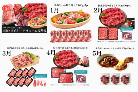 【2026年発送 先行予約】【全５回定期便】黒豚 ・ 黒毛 和牛 ボリューム 定期便 1月～5月発送(水迫畜産/Z050-531)