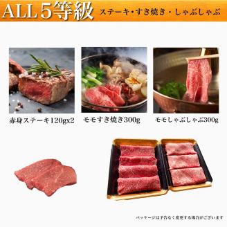 ALL5等級鹿児島県産黒毛和牛(水迫畜産/033-1196)