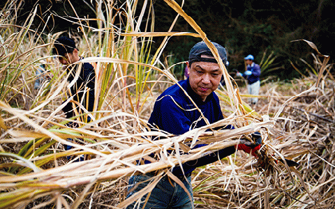 【鹿児島県産黒糖使用】国産クラフトラム ACOU RUM WHITE 500ml(大山甚七商店/010-509) ESSE ふるさと グランプリ 2023 金賞 授賞 ホワイトラム ラム カクテル オ