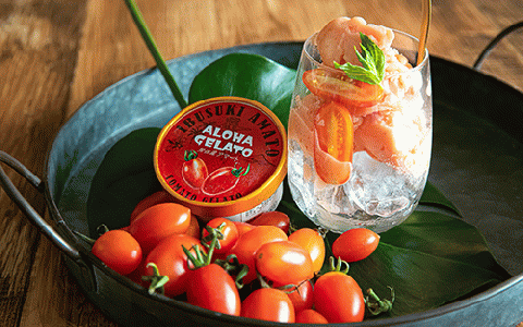 肉屋が作った!お肉に合う指宿産アイコトマトジェラート90ml×6個(Meat you/010-021)