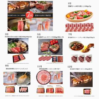 【全７回定期便】お肉わくわく定期便(水迫畜産/Z100-537) 牛 牛肉 豚 豚肉 黒毛和牛 黒豚 国産 鹿児島 いぶすき