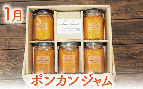 【全４回定期便】みかん農家坂元さんちの手作りジャム定期便(坂元果樹園/Z040-491) ジャム 農家 手づくり マーマレード ママレード スモモ 柑橘 いぶすき