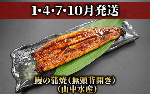 【全３回定期便】鰻・和牛・黒豚 指宿のイチ押し定期便(Z055-294)