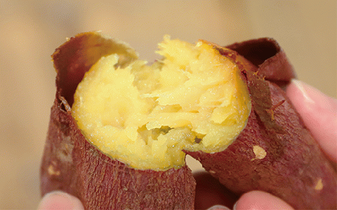 【2025年12月上旬～発送】糖度抜群 あま～い！紅はるか芋約5kg(岡村商店/A-113)