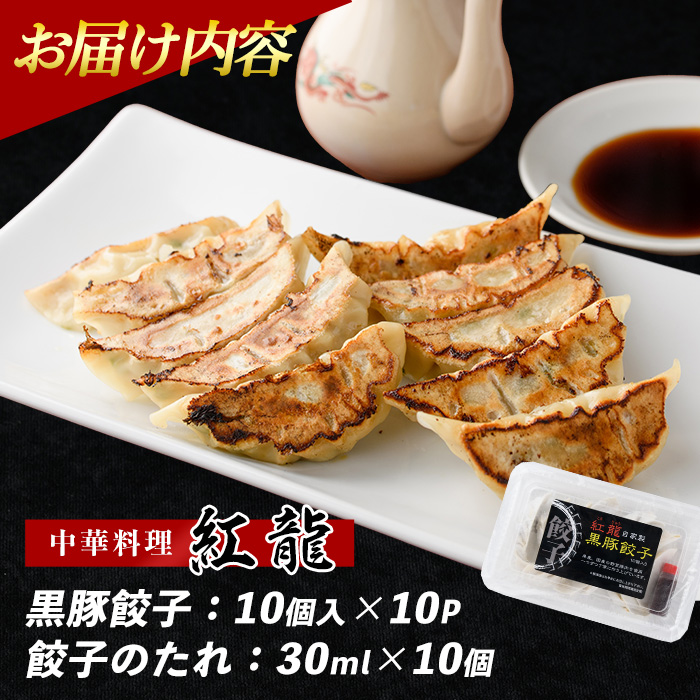 黒豚餃子 10個入×10パック【地元の中華料理店で人気！】(紅龍/010-1577) ぎょうざ 冷凍 ギョウザ 餃子鍋 点心 飲茶 中華 惣菜 そうざい おかず 簡単 野菜 黒豚 豚 指宿 指宿市 鹿