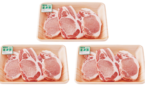 鹿児島茶美豚ロース（とんかつ用）900g(JAいぶすき/010-1651)L-1401 肉 国産 国産豚 国産豚肉 小分け パック 使い勝手 便利 とんかつ とんかつ肉 精肉 食品 料理 アレンジ 冷凍 お弁当 おかず 鹿児島 茶 チャーミートン 豚 豚肉 豚とんかつ 豚肉とんかつ 揚げ物 ステーキ ポークステーキ トンテキ 鹿児島 鹿児島県 鹿児島県産 指宿 指宿市 いぶすき