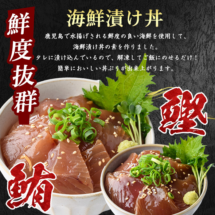 まぐろ・かつおの海鮮漬け丼セット100g×10袋(山川町漁協/010-1856) 冷凍 海鮮丼 海鮮 魚介類 マグロ まぐろ 鮪 カツオ かつお 鰹 丼 どんぶり 小分け 簡単 ランチ 惣菜 漬け 漬け丼 冷凍