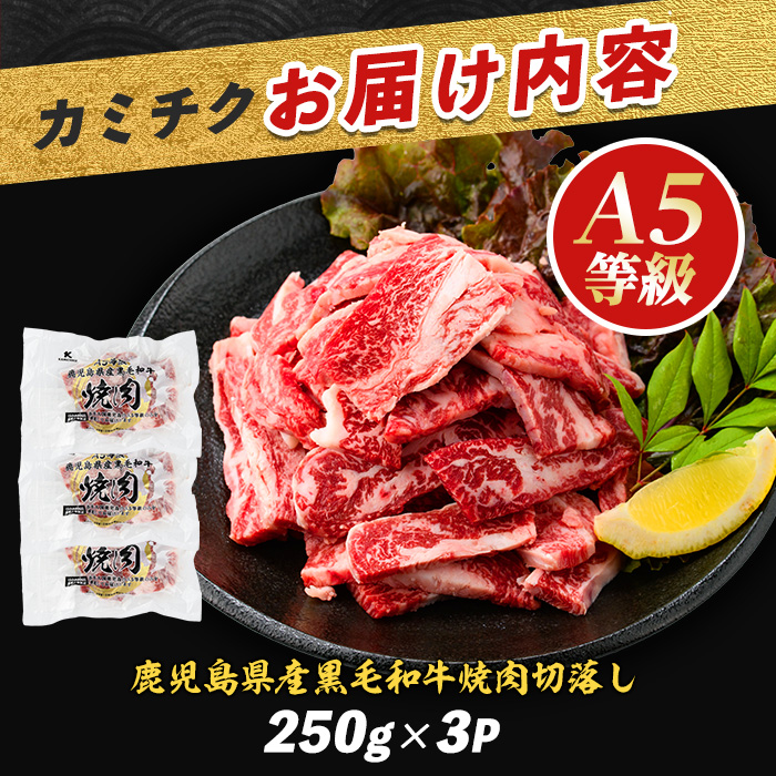 A5等級鹿児島県産黒毛和牛焼肉切り落とし750g(250g×3P)(カミチク/IB112-016) 牛肉 牛 肉 お肉 黒毛和牛 黒毛 国産牛 国産 鹿児島県産 バーベキュー 切落し 和牛 A5 A5ランク ミスジ ウワミスジ インサイド ミックス キャンプ BBQ 野菜炒め 炒め物 家庭用 冷凍 小分け 焼肉用