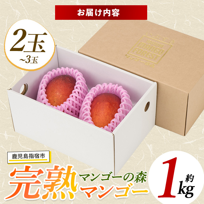 【2026年 発送】しあわせ完熟マンゴー2～3玉入り(マンゴーの森/022-1769) マンゴー フルーツ 果物 旬 夏 指宿 いぶすき 鹿児島  完熟  お供え 御供 ギフト 贈り物 プレゼント グルメ 予約 先行予約 南国 南国フルーツ 果実 マンゴー グランプリ マイスター 太陽 国産 鹿児島県産 果汁