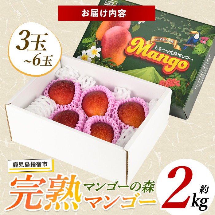【2026年 発送】しあわせ完熟マンゴー3～6玉入り(マンゴーの森/044-1768) マンゴー フルーツ 果物 旬 夏 指宿 いぶすき 鹿児島  完熟  お供え 御供 ギフト 贈り物 プレゼント グルメ 予約 先行予約 南国 南国フルーツ 果実 マンゴー グランプリ マイスター 太陽 国産 鹿児島県産 果汁