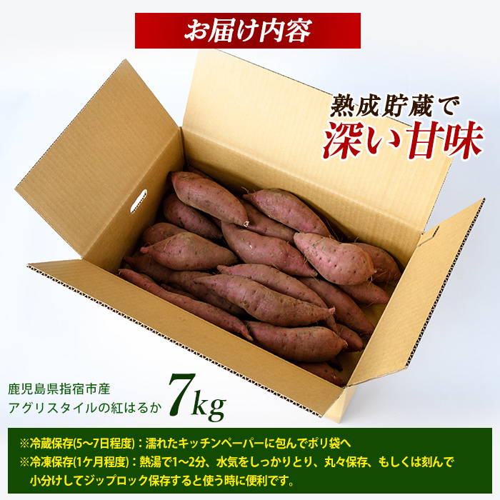 【2025年11月中旬～発送】指宿産 紅はるか 約7kg(アグリスタイル/A-301) 鹿児島 サツマイモ 薩摩芋 指宿市 焼芋 やきいも 焼きいも スイーツ おやつ デザート