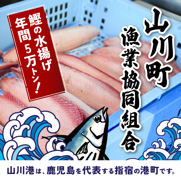 かつおのはら皮(薄塩・レモンペッパー味)200g×10パック(山川町漁協/A-418)