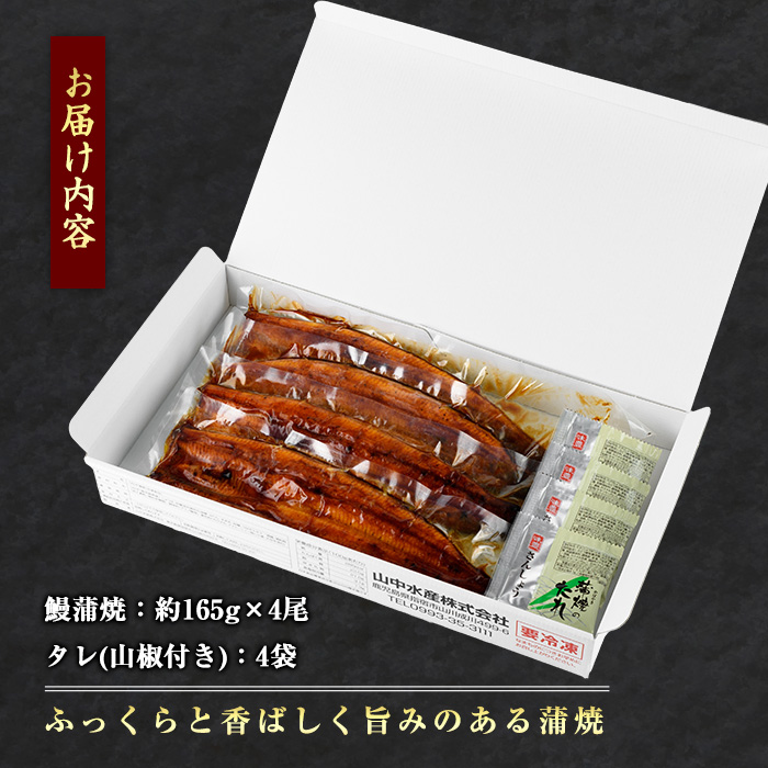 鹿児島県産 鰻の蒲焼(無頭背開き)約165g×4尾(山中水産/IB022-002) うなぎ 国産 鹿児島 蒲焼 丑の日 丑 土用丑の日