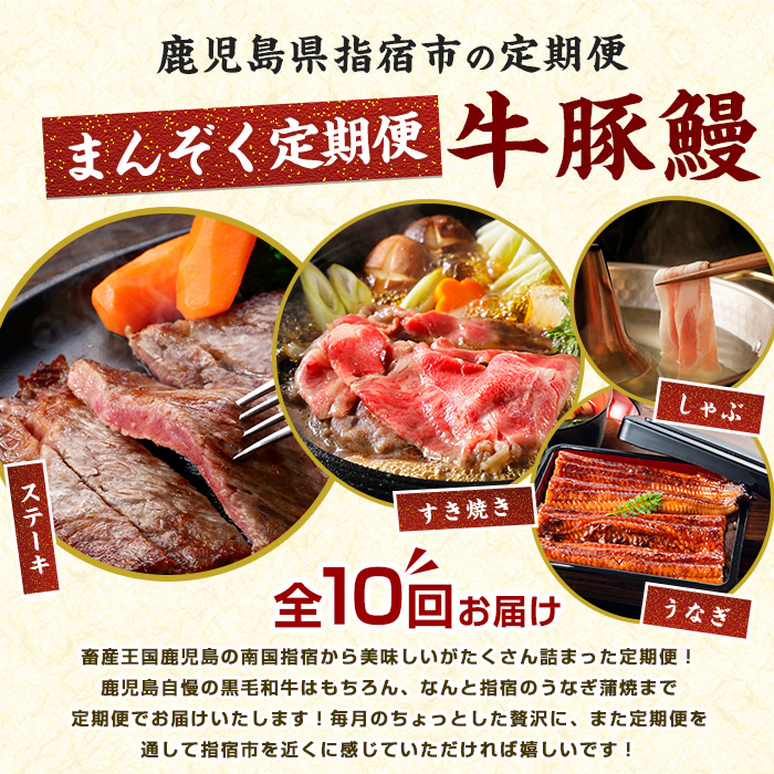 【2026年発送 先行予約】【全１０回定期便】鹿児島自慢の豚・牛・うなぎ 満足定期便(水迫畜産/Z100-528)