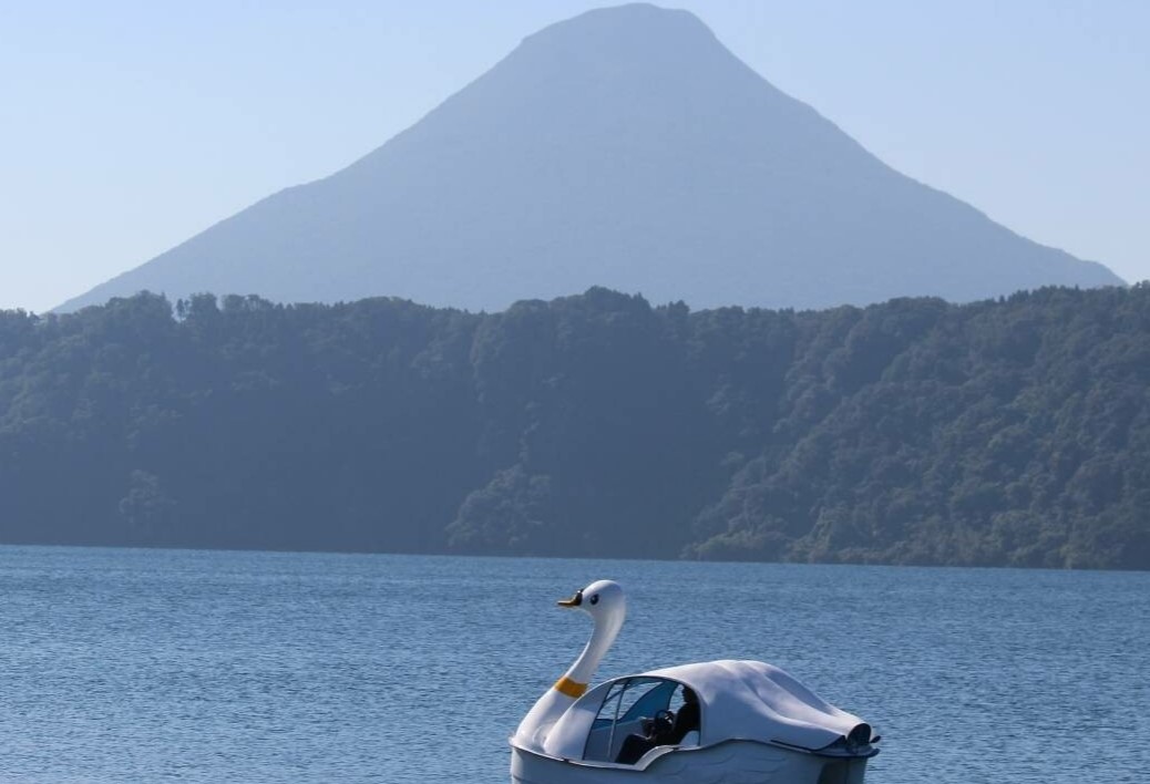 【池田湖でアクティビティ体験】スワンボート 60分間1台レンタル(えぷろんはうす池田/A-179)