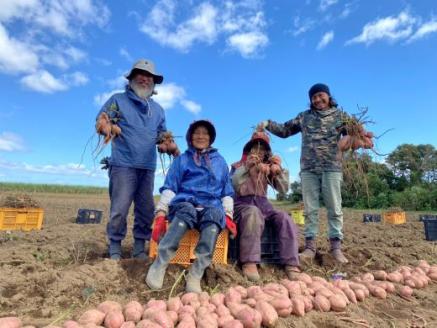 しっとり安納芋の焼き芋250g×6個(中園久太郎商店/A-313) 鹿児島 指宿市 さつまいも さつま芋 サツマイモ 焼芋 やきいも 焼いも 冷やし焼き芋 紅はるか シルクスイート 安納芋 スイーツ おやつ デザート 冷凍