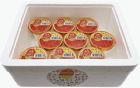 ＜高島屋選定品＞指宿マンゴージェラート9個セット(TK017-1835/59D1953)