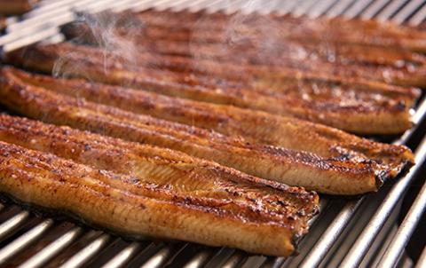 ＜高島屋選定品＞鹿児島県産うなぎ蒲焼じっくり焼き(4尾)(TK035-1822/59D1813)