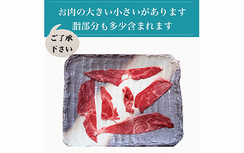 鹿児島県産黒毛和牛5等級切落し600g(水迫畜産/013-1291)