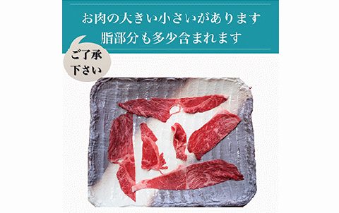 鹿児島県産黒毛和牛5等級切落し900g(水迫畜産/016-1292)