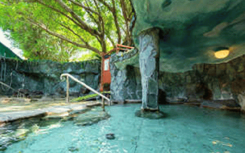 【鹿児島ひとり旅】1泊素泊まり宿泊券(指宿フェニックスホテル/033-1102)