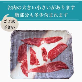 鹿児島県産5等級黒毛和牛薄切りすき焼き・しゃぶしゃぶ500g(水迫畜産/010-542)23-GP3 国産 肉 牛 和牛 ステーキ しゃぶしゃぶ 鍋 すきやき 霜降り ギフト 贈答用 プレゼント 鹿児